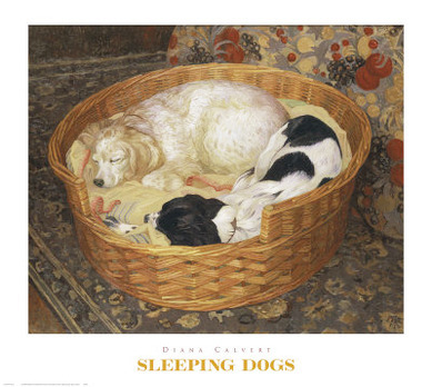 Sleeping Dogs