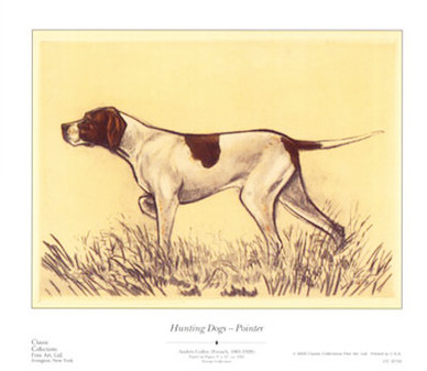 Hunting Dogs, Pointer