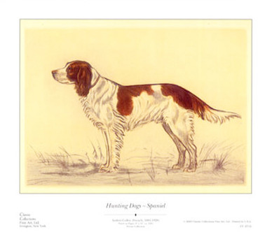 Hunting Dogs, Spaniel