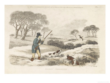 Snipe, a Hunter and His Dogs Go Snipe-Shooting in the Snow- Covered Fields