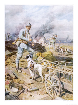 The French Army Use Dogs to Haul Supplies to Their Trench Positions