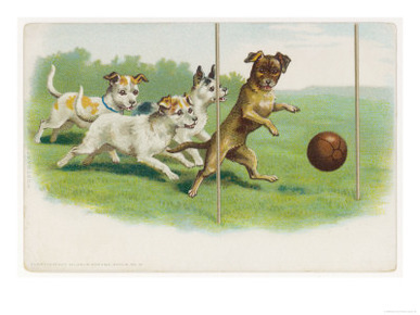 Group of Four Dogs Play a Lively Game of Football One of Them is About to Score a Goal