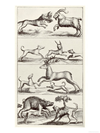 Selection of Early Hunting Dogs and Their Prey