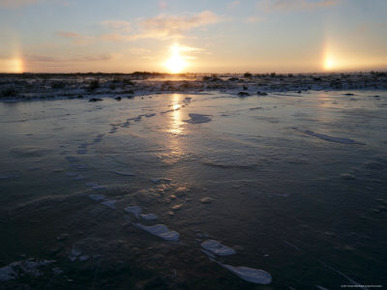 Sun Dogs, Polar Bear Tracks, Churchill, Hudson Bay, Manitoba, Canada