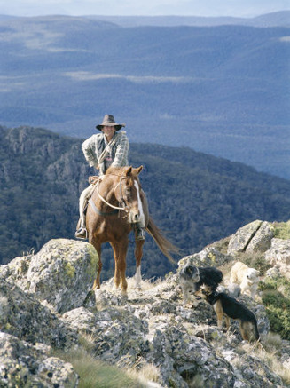 Man on Horse with Dogs, 'The Man from Snowy River', Victoria, Australia