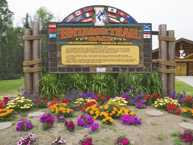 Headquarters of the Iditarod Trail Dogsled Race, Wasilla, Alaska, USA