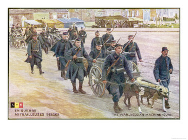 The Belgian Army During World War One Harness Their Dogs to Machine Guns Instead of Milk Carts