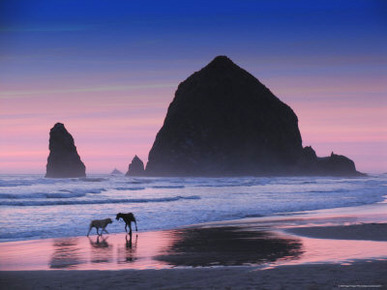 Dogs on Cannon Beach