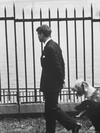 Democratic Candidate For New York Senator, Robert F. Kennedy with Dogs at Gracie Mansion