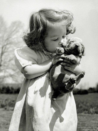 Christina Goldsmith Kissing a Weimaraner Puppy from Her Father's Stock of Weimaraner Hunting Dogs