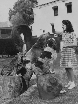 Elizabeth Taylor Outside, Holding Dog Crackers Up to Tempt Her Dogs