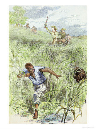 Hunting an Escaped Slave with Dogs