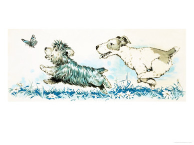 Dogs Chasing a Butterlfly